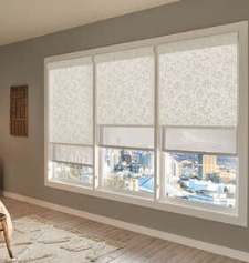 70. Solar shades mini