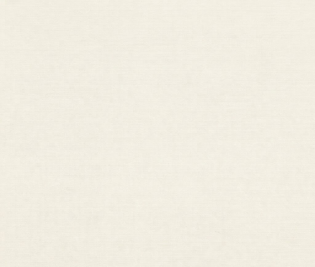 Off-White — #75-N501
