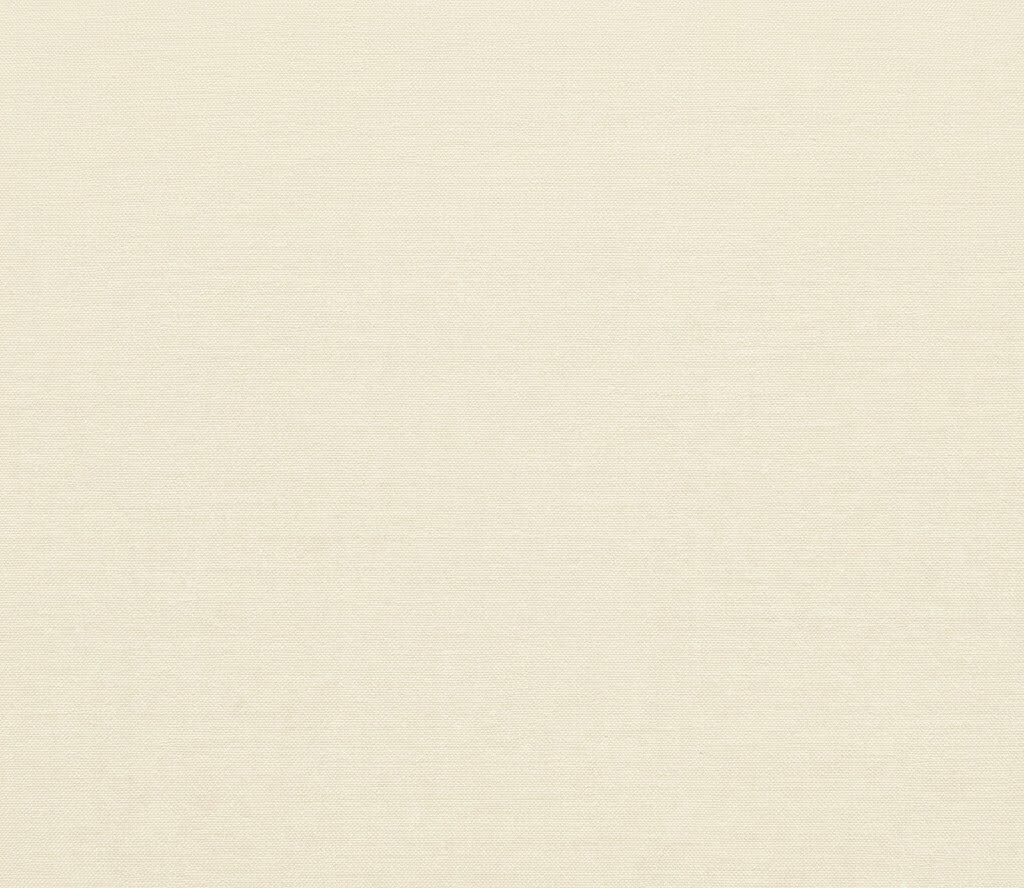 Light Ivory Beige — #75-N1102