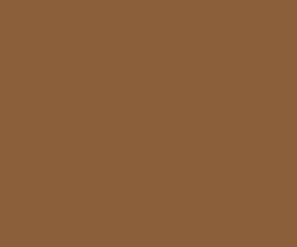 Medium Brown — #3893