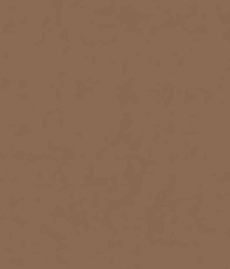 Light Brown — #3864